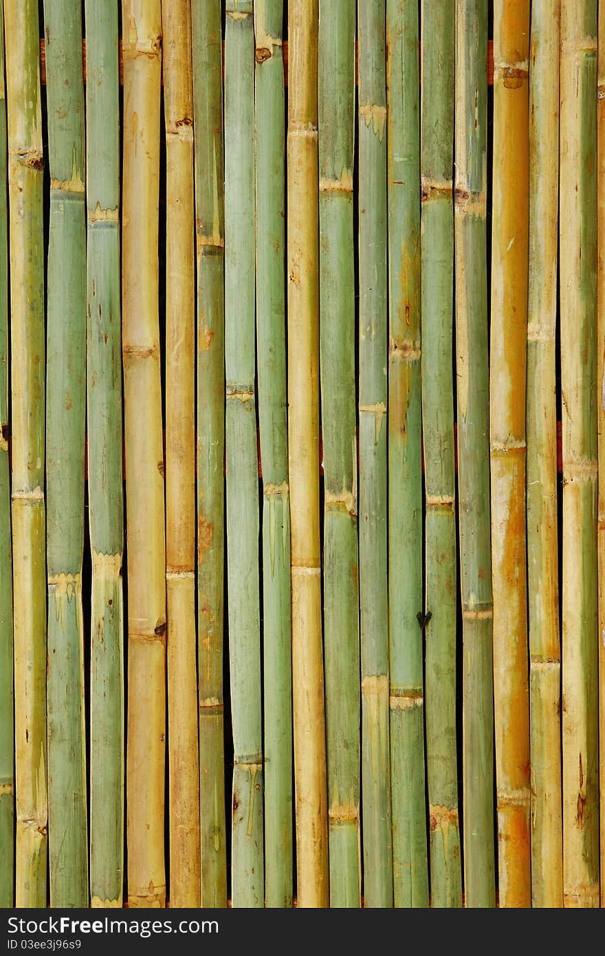 Bamboo background