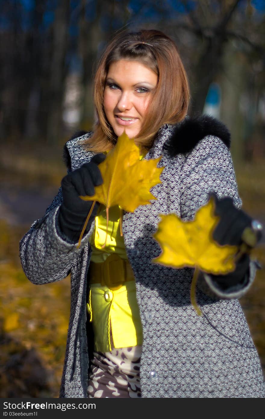 Portrai of beautiful smiling young girl with yellow dry leaves in fall park. Portrai of beautiful smiling young girl with yellow dry leaves in fall park