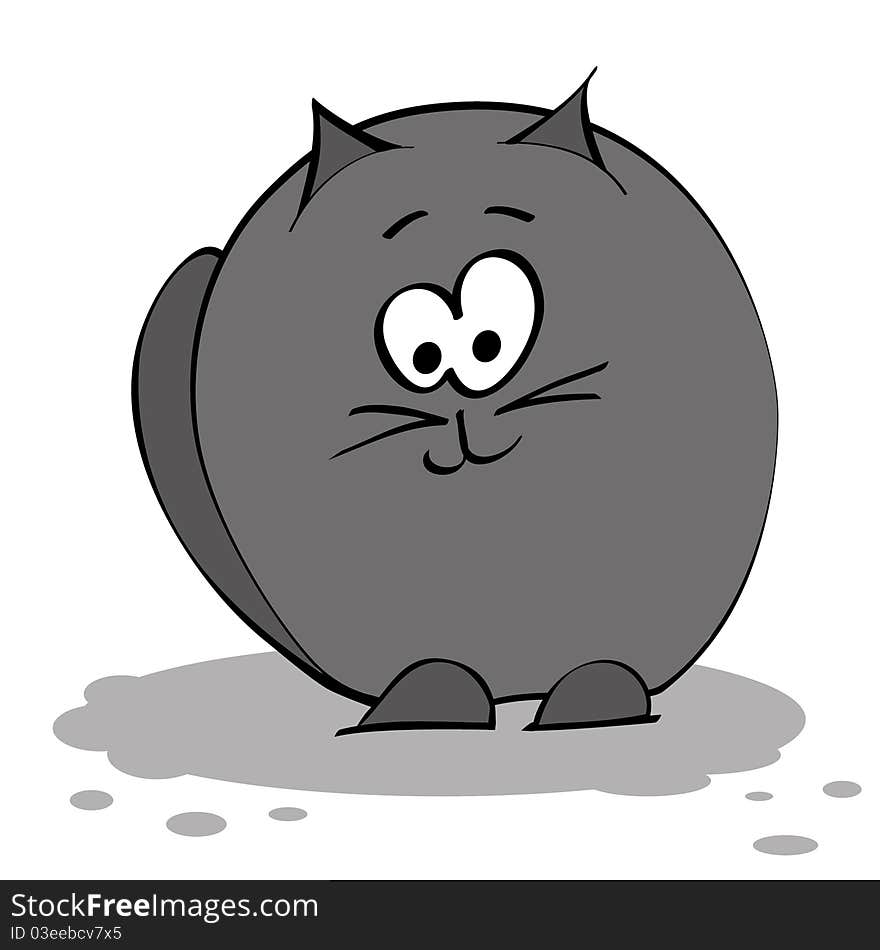 Black fat cat