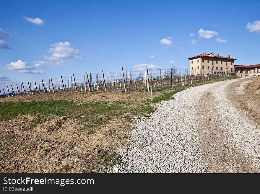 Italian villa with vineyard: spring season