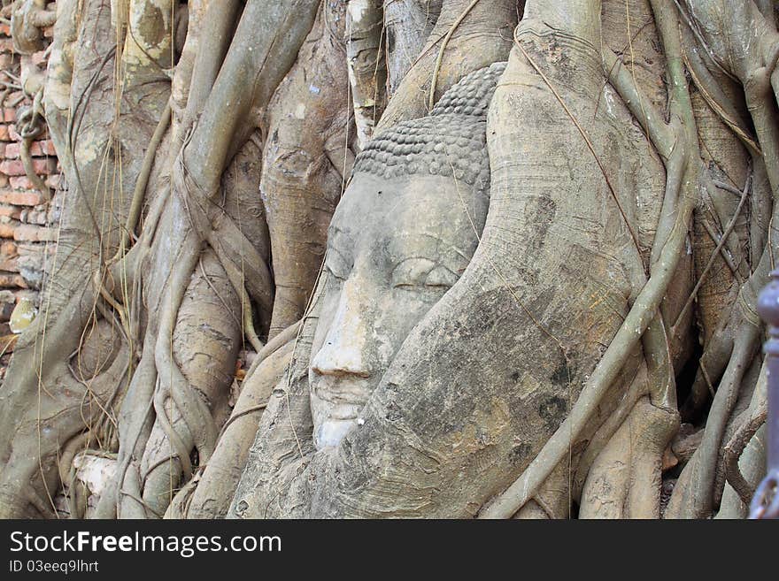 Buddha head in tree roots, Ayutthaya, Thailand