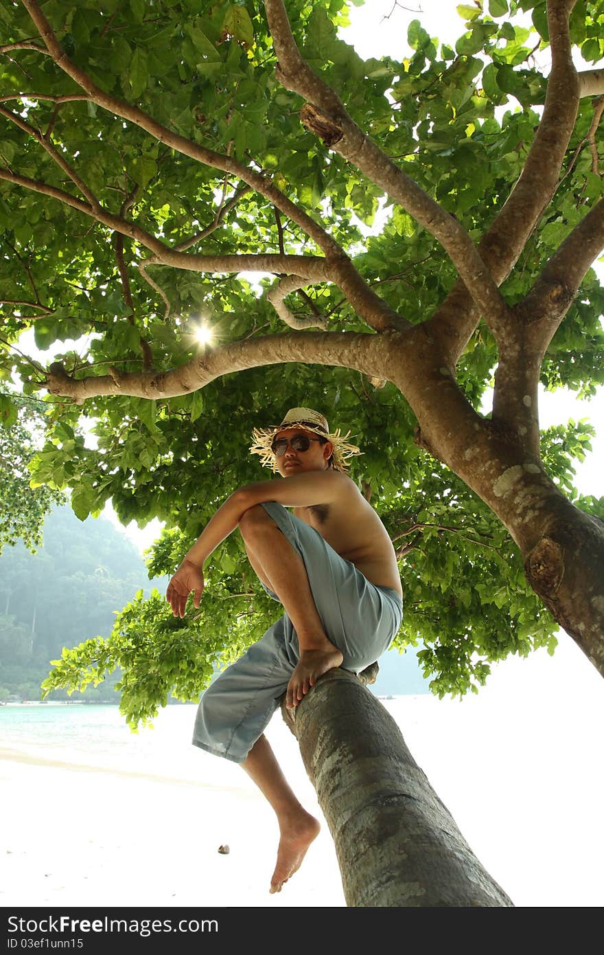 A man dressed islander sit on a big branch of tree by the sea. A man dressed islander sit on a big branch of tree by the sea.