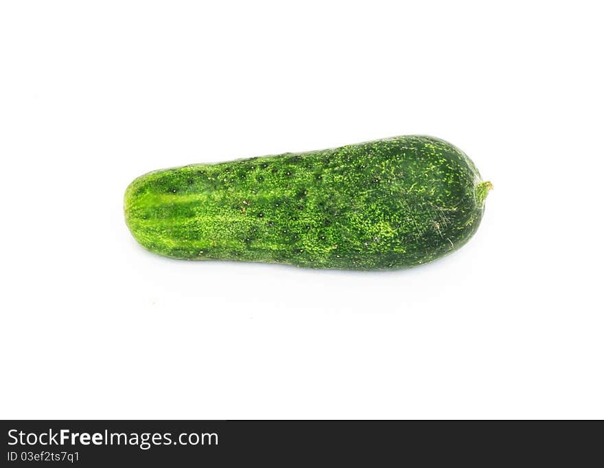 Cucumber