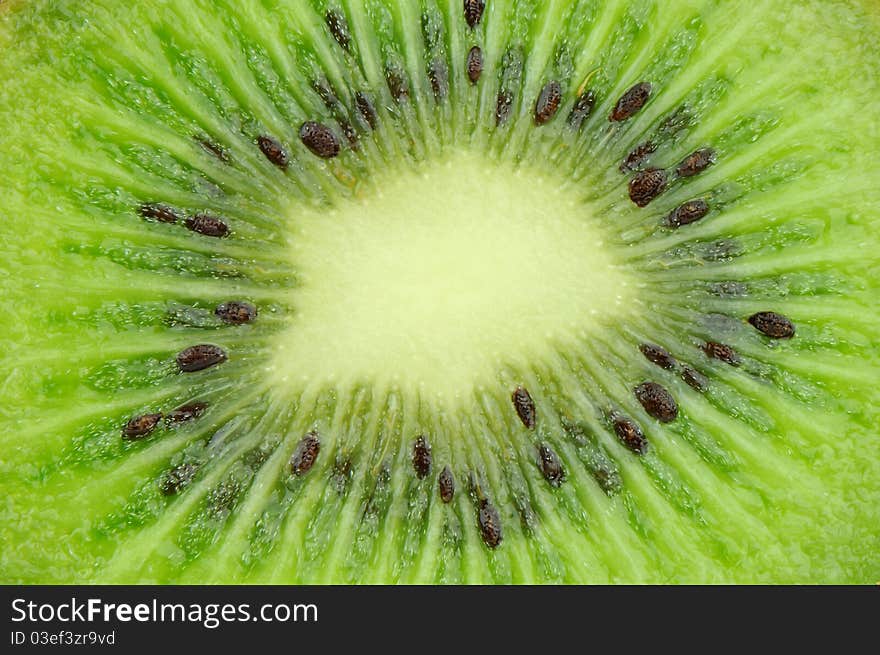 Close up of A kiwi fruit