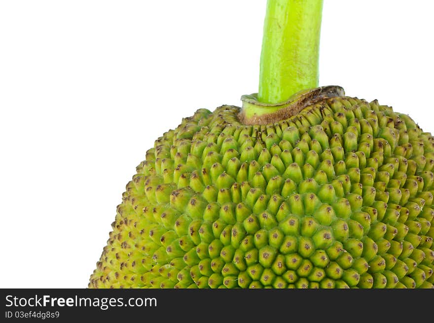 Close up of green jackfruit