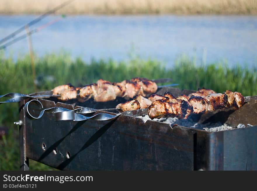 Barbecue near the rive