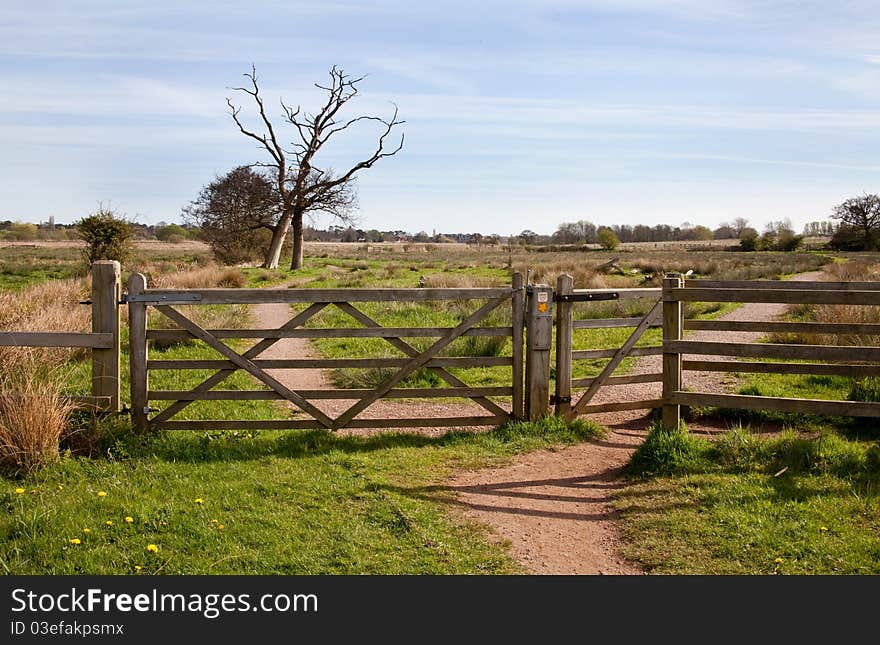 Landscape view at carlton marshes nature reserve in norfolk. Landscape view at carlton marshes nature reserve in norfolk