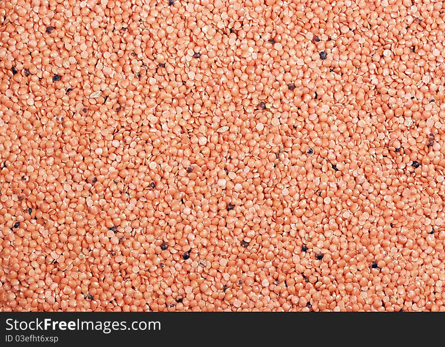 Red Lentils