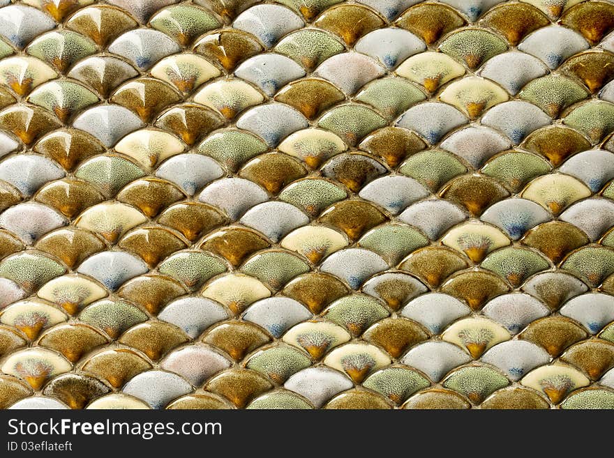 Shell mosaic background