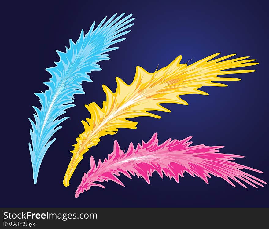 Set of bird feathers. Abstract decoration illustration. Set of bird feathers. Abstract decoration illustration.