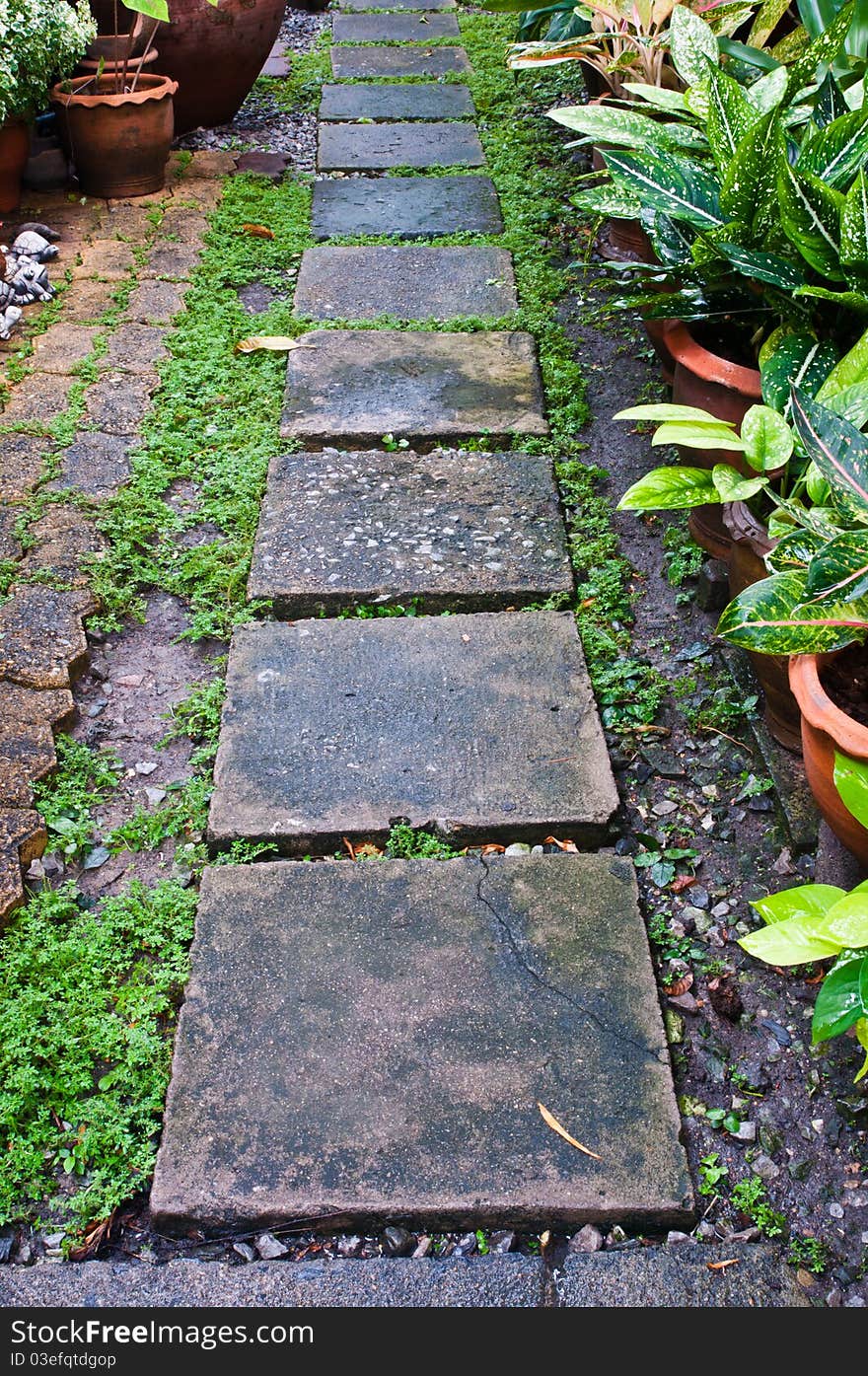 Stone path in the garden. Stone path in the garden