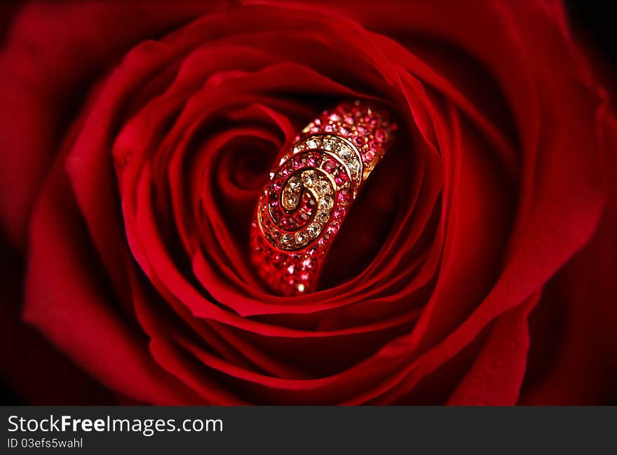 Ring with diamonds in a red Rose close up (macro)