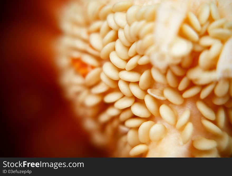 Seeds of pepper close up extreme macro