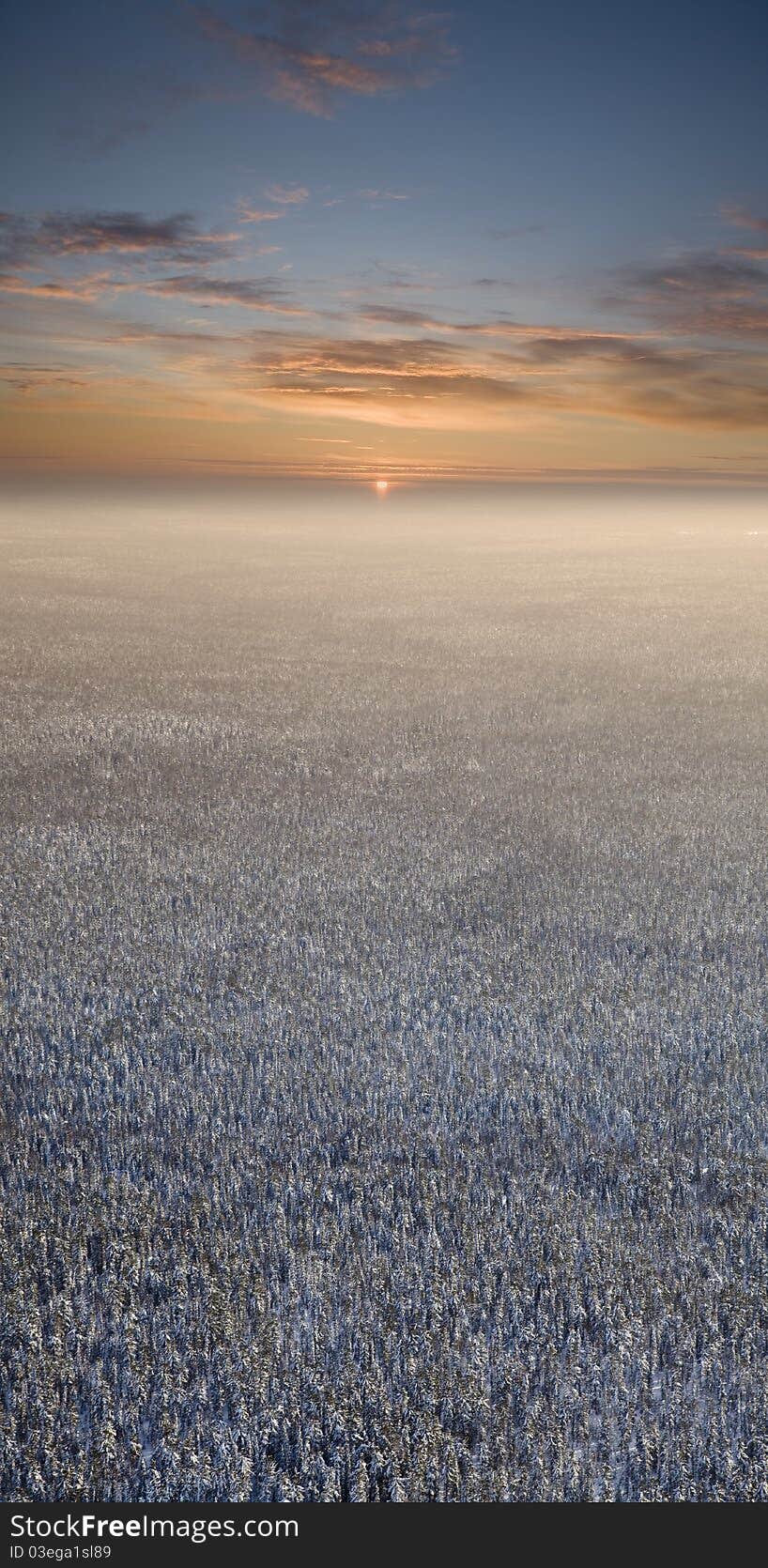 Aerial view of snow-covered forest plain