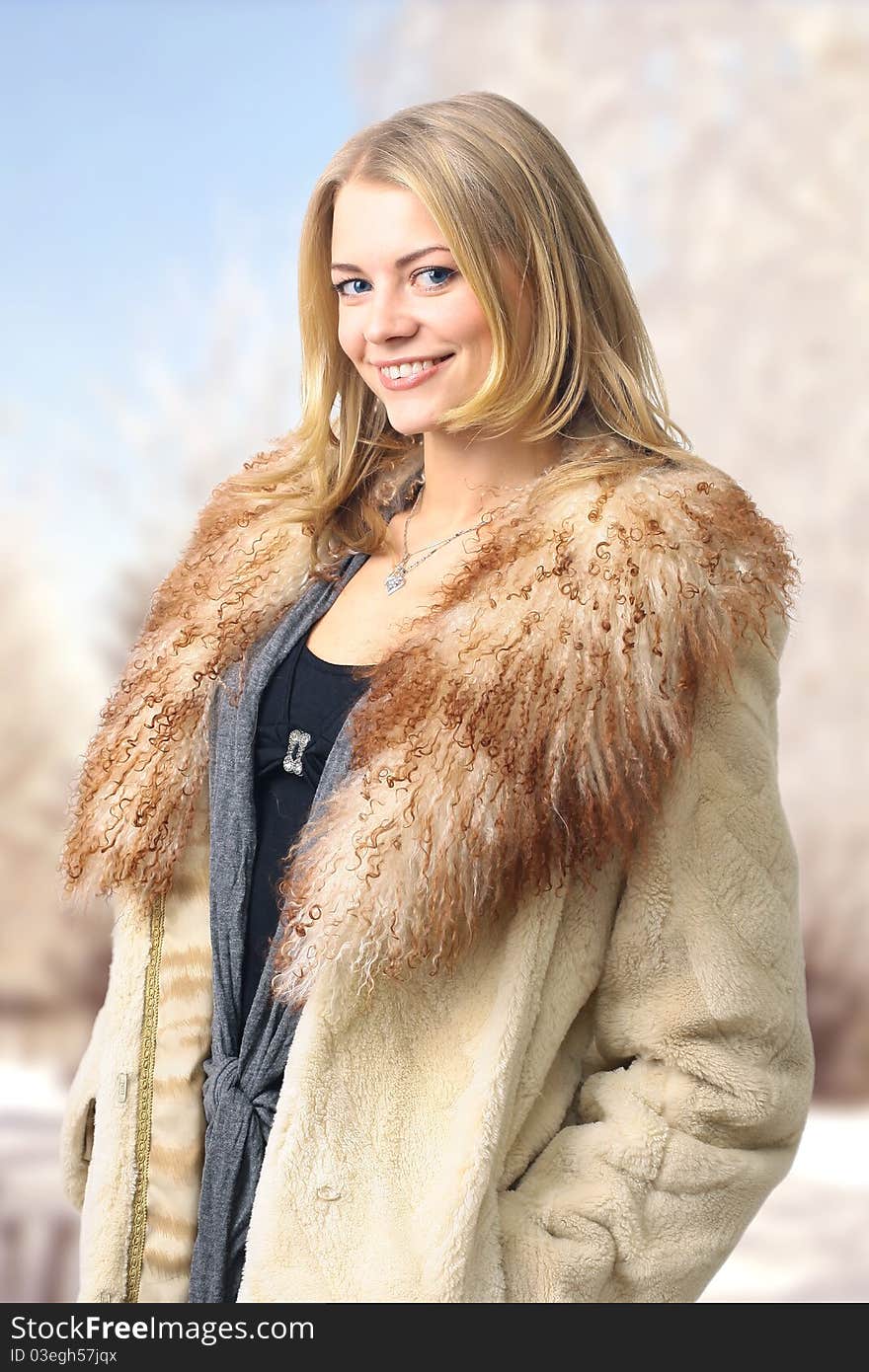 Portrait of a beautiful woman in the fur coat