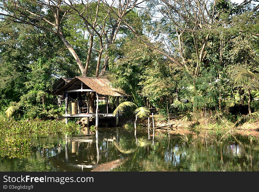 Rural area in singburi province the central of thailand