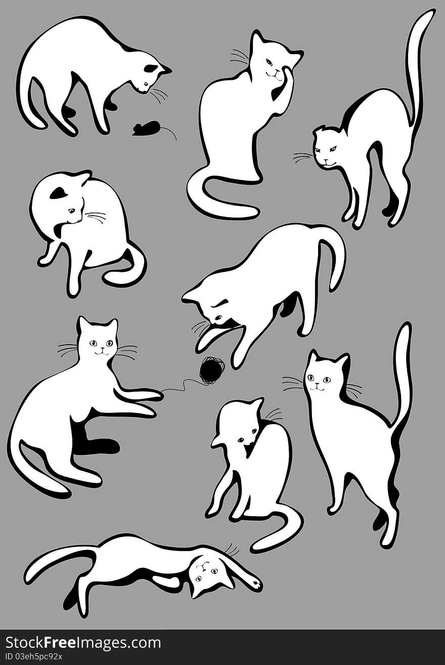 Set Of White Cats.