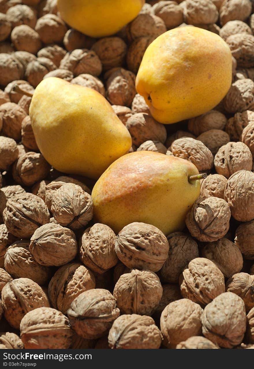 Nuts and ripe pear lying in the sun. Nuts and ripe pear lying in the sun