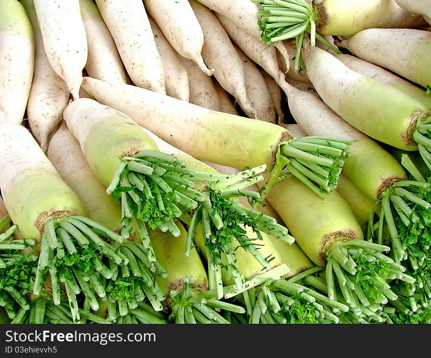 White Chinese Radish