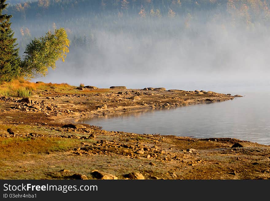 Lake in Deep Forest