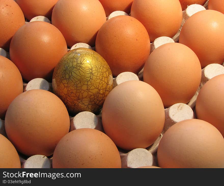 Some eggs on tray, isolated. Some eggs on tray, isolated.