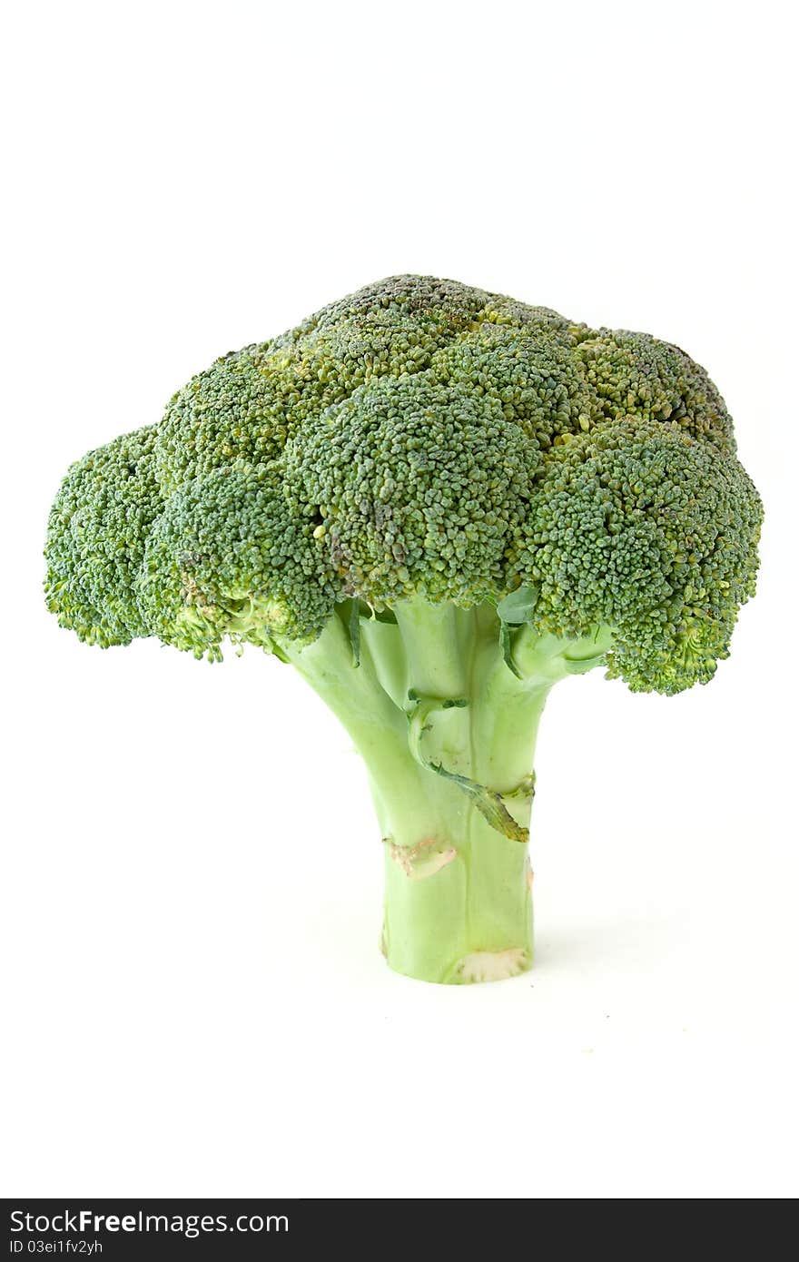 Broccoli