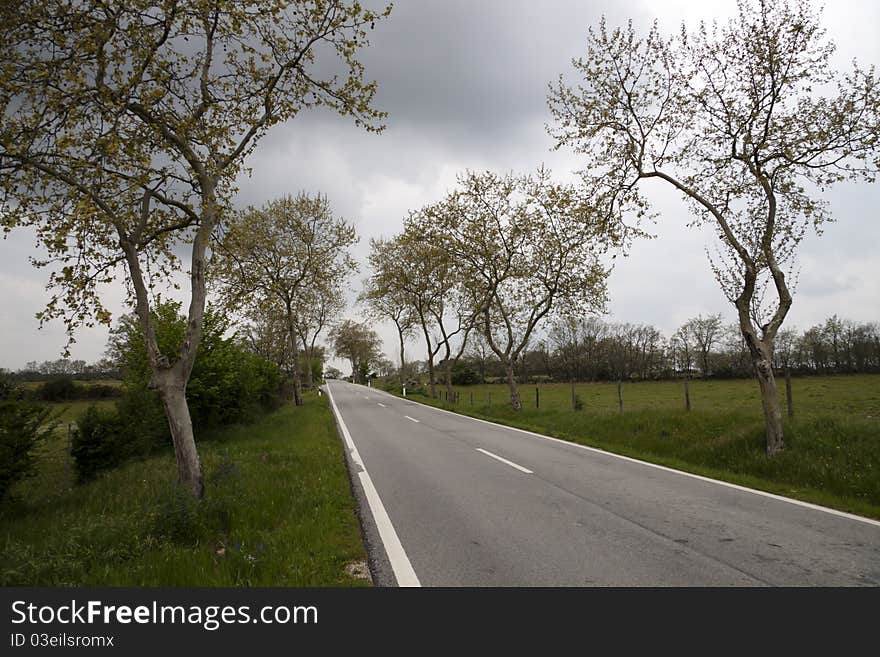 Road through the countryside in a dark day