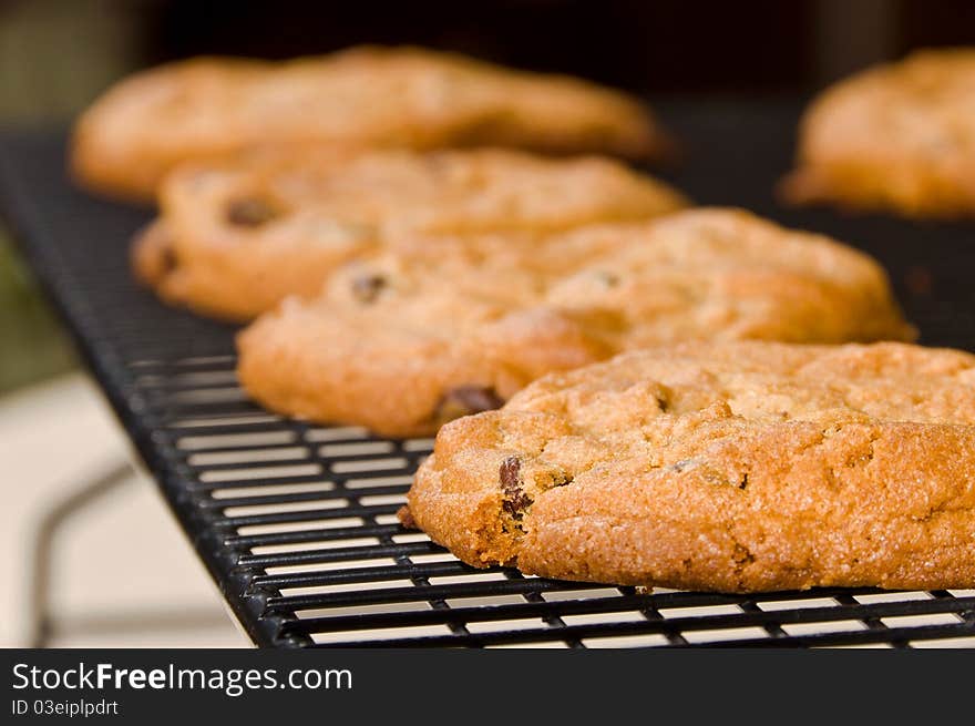 Chocolate Chip Cookies