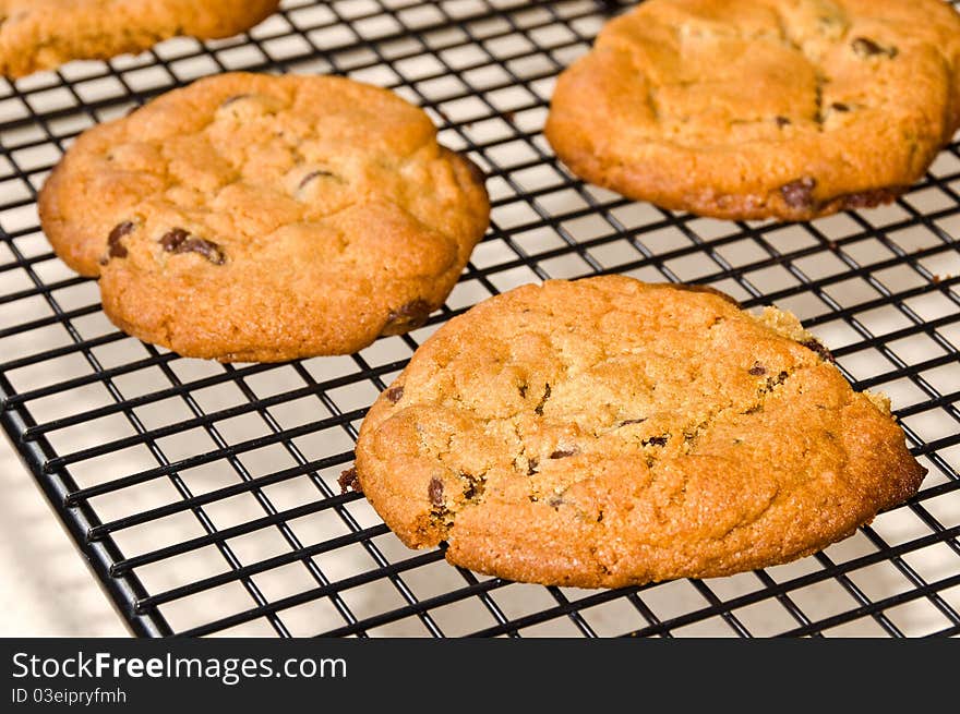 Chocolate Chip Cookies