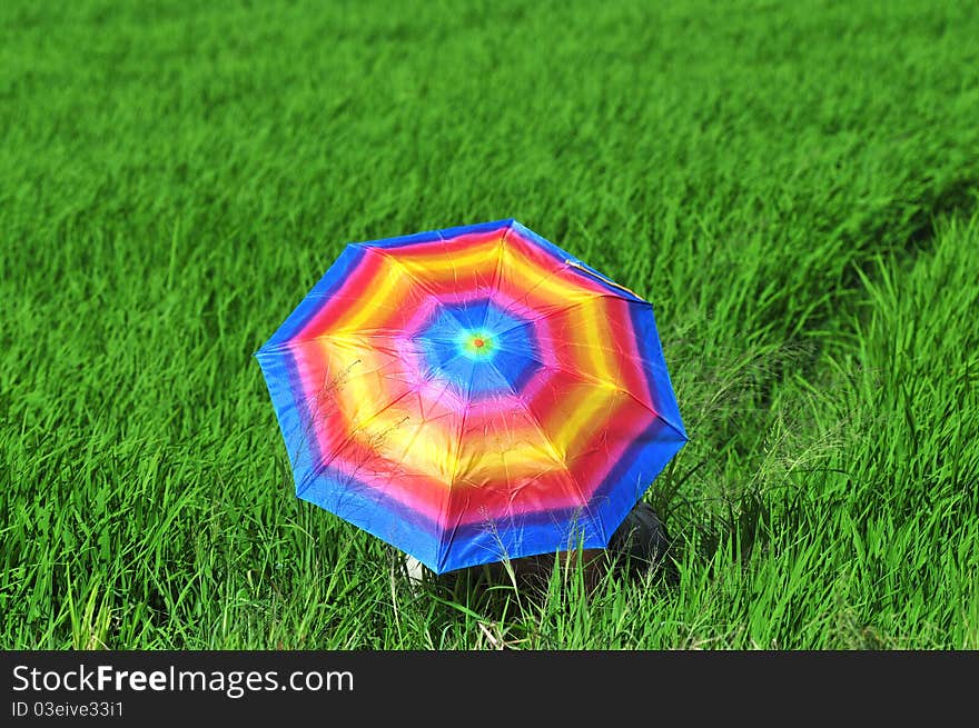 Colorful umbrella