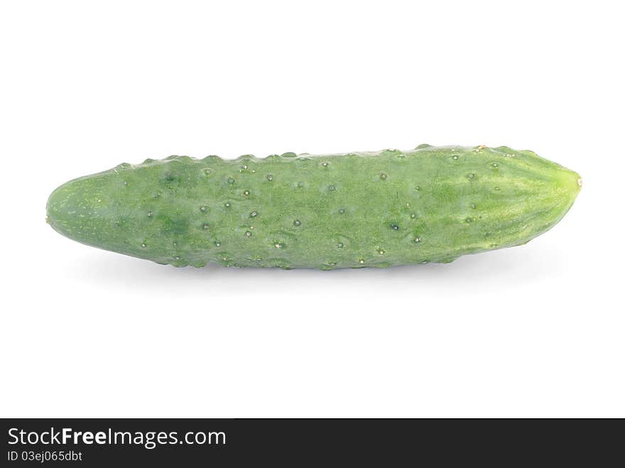 Whole cucumber isolated on the white background. Whole cucumber isolated on the white background