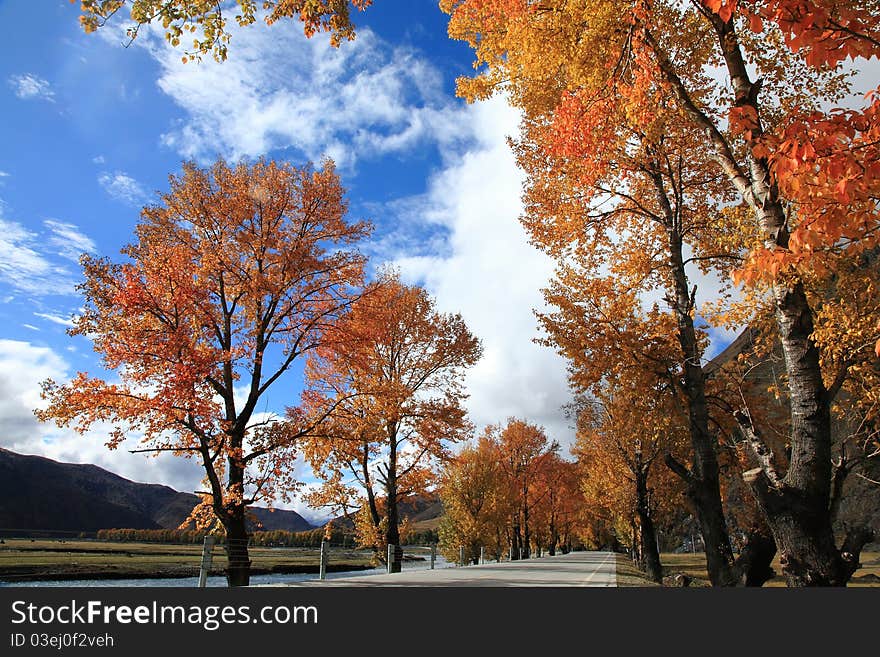 Daocheng S Autumn