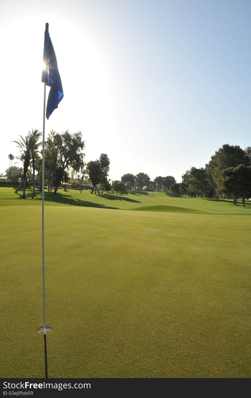 Golf green with flag in hole