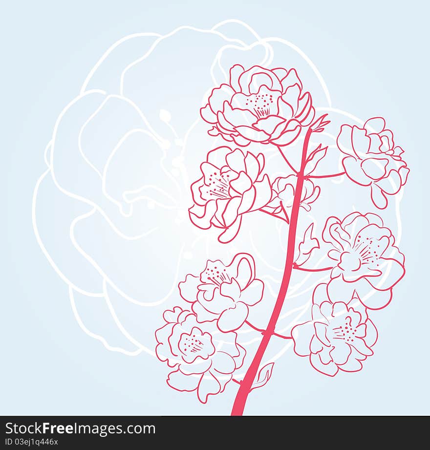 Blue background with outlined sakura flowers. Blue background with outlined sakura flowers