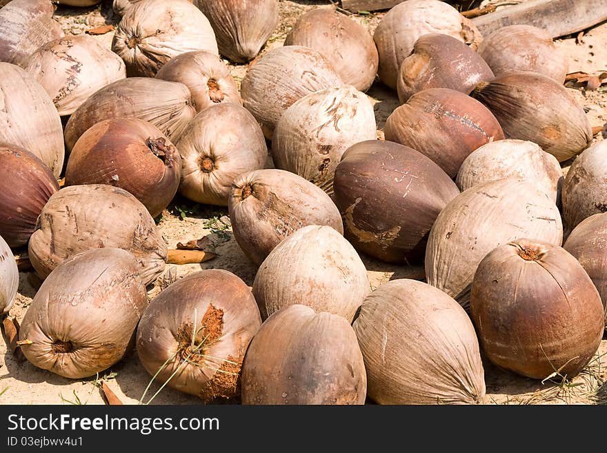 Old coconuts