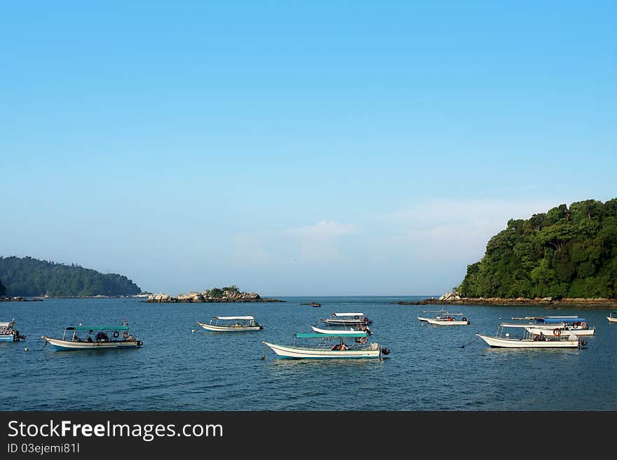 A Group Of Boat