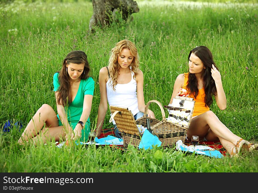 Very fun girlfriends on picnic