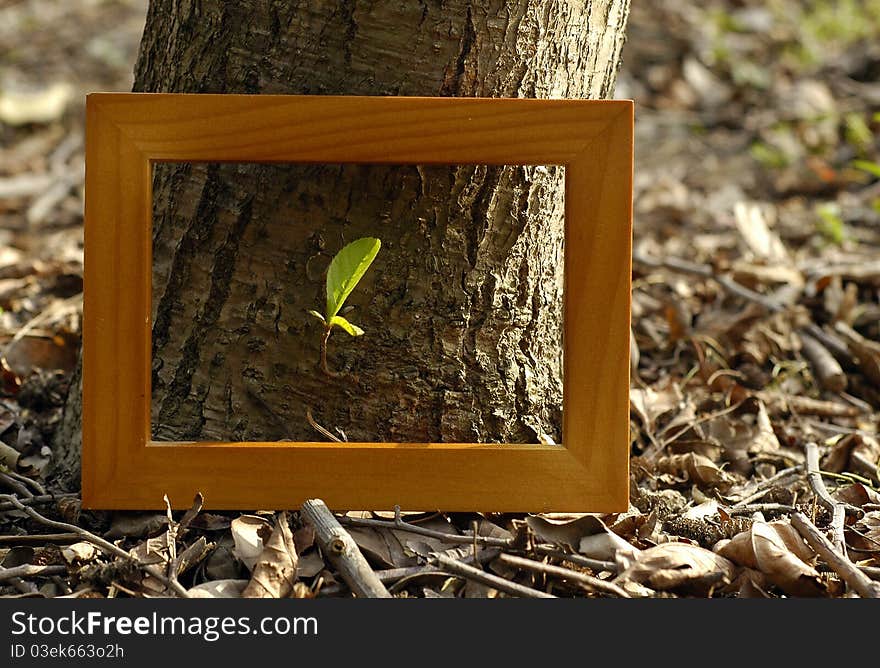 The brown wood frame on the ground