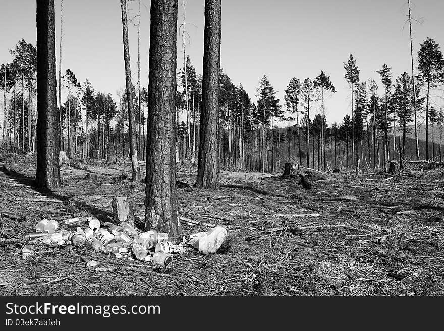 Garbage pit in pine wood