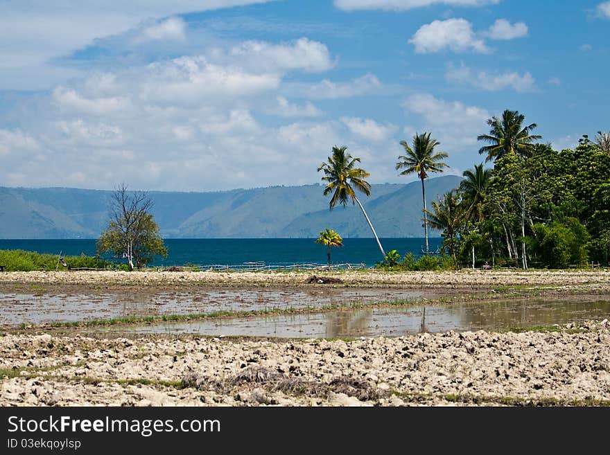 Lake Toba landscape, Samosir island, Sumatra, Indonesia