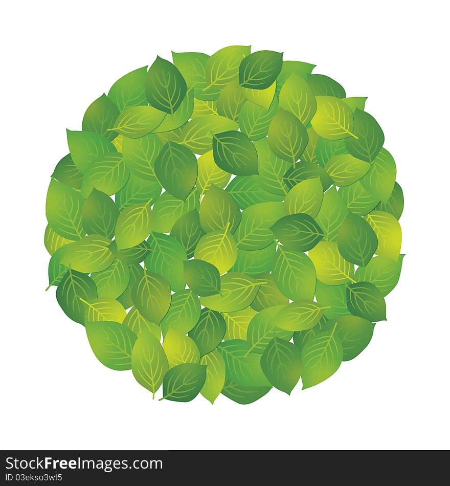 Background of the round shape of the leaf. Background of the round shape of the leaf