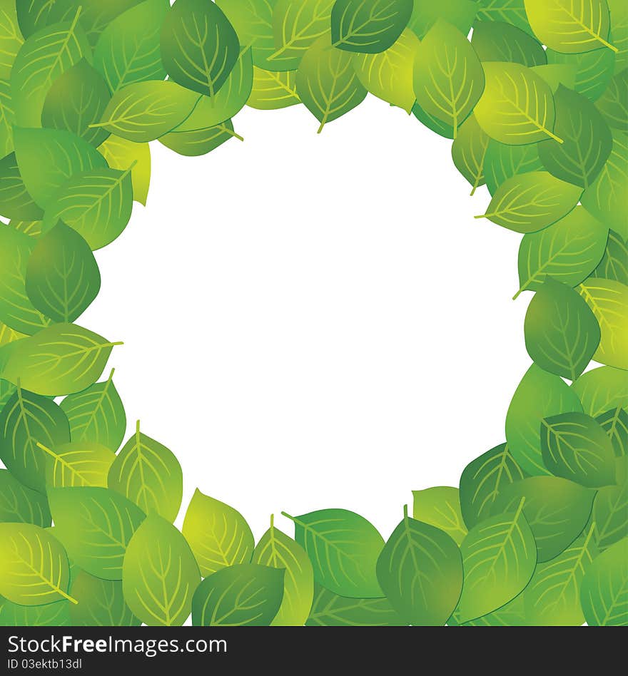 Frame of the round form of the leaf. Frame of the round form of the leaf