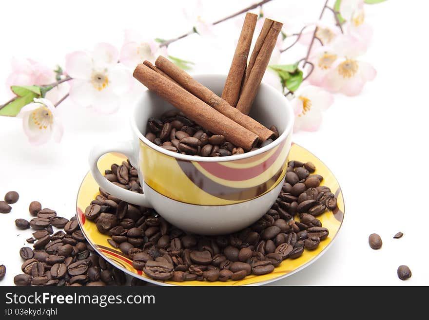 Coffee beans in the cup with cinnamon poles