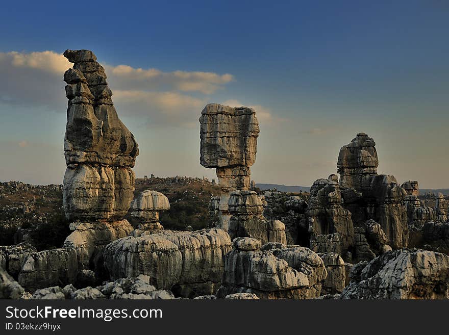 Stone Forest