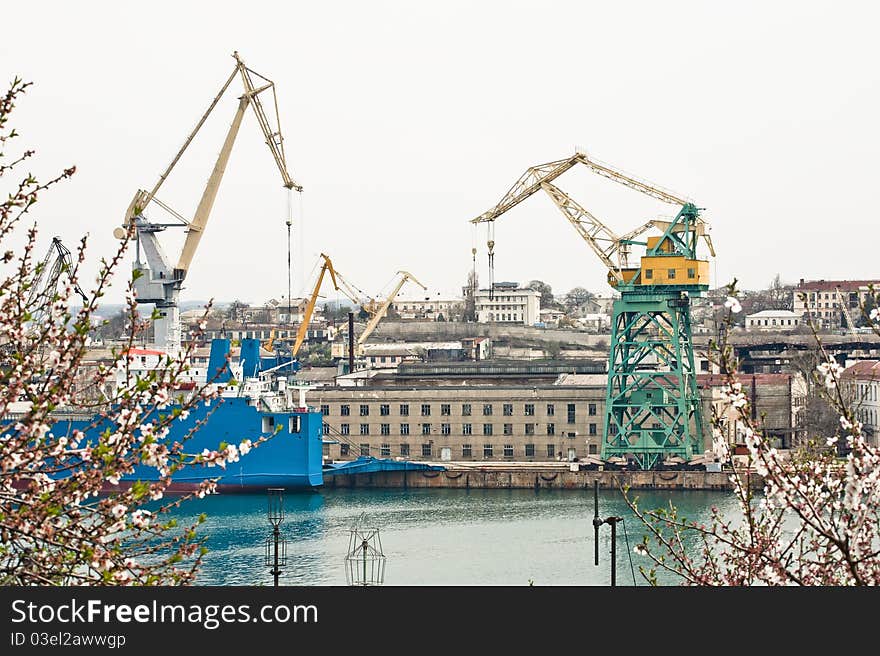 View of shipbuilding shipyard through the flowering trees. View of shipbuilding shipyard through the flowering trees