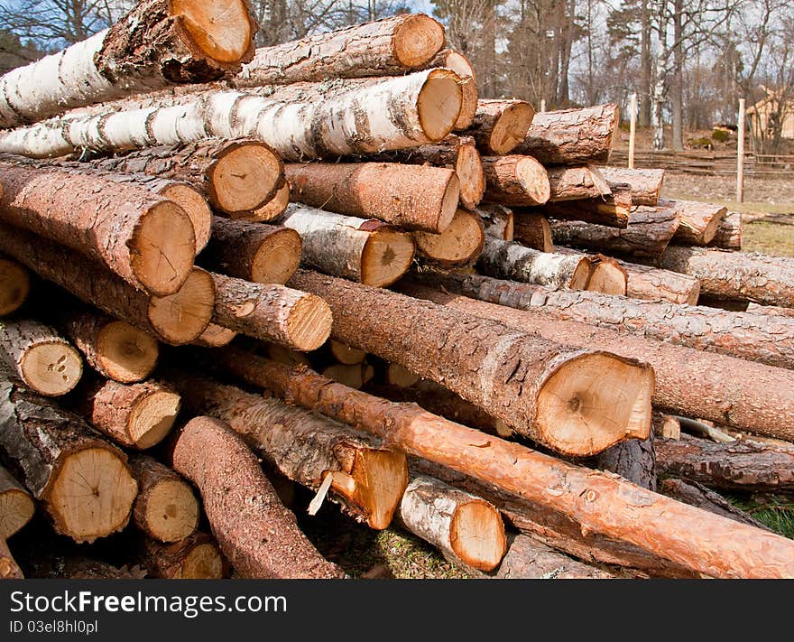 A pile of fresh logs. A pile of fresh logs