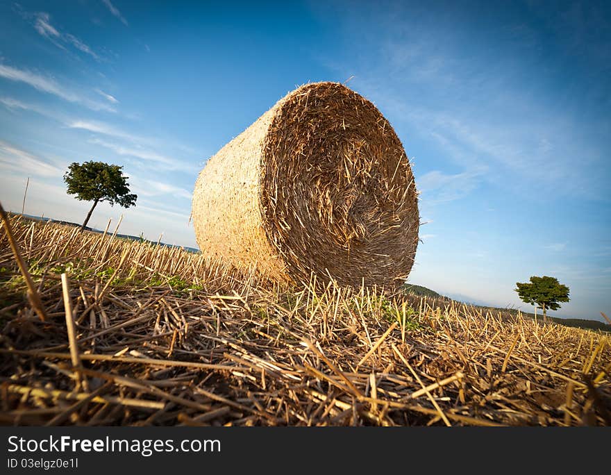 Hay Bale On The Late Afternoon