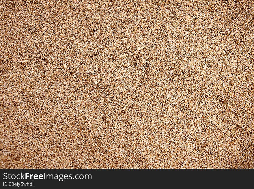 High-definition close-up of sesame