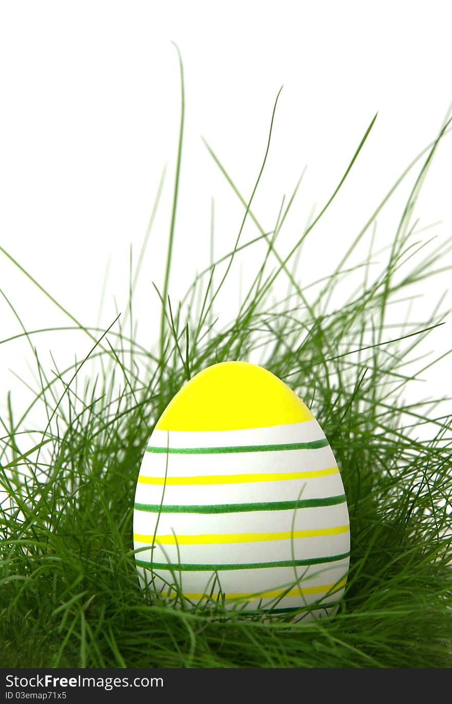 Striped easter egg in green grass on white background