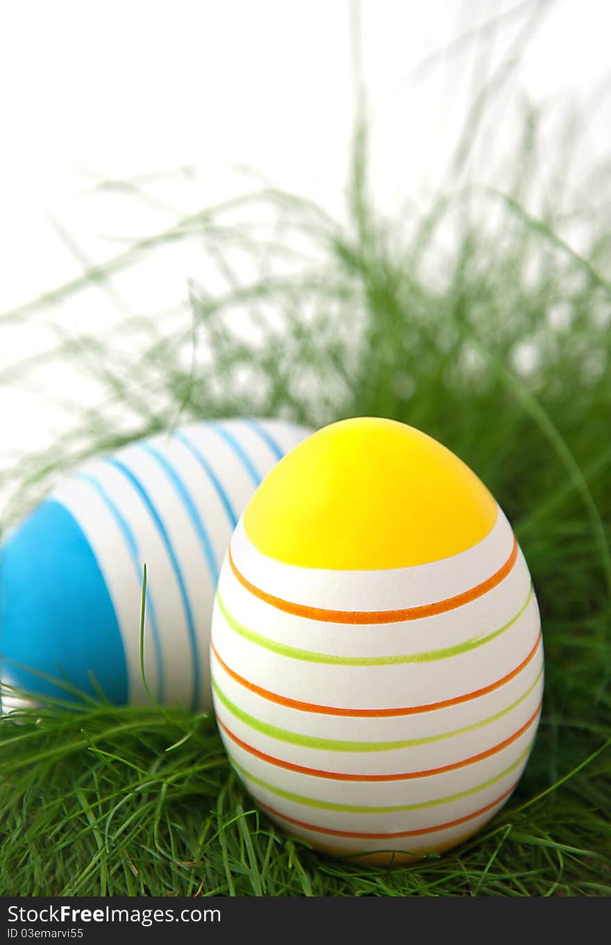 Striped easter eggs in green grass on white background